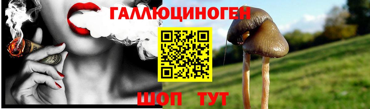 Псилоцибиновые грибы Magic Shrooms  Галлюциногенные грибы Psilocybe  Вход с VPN  Дубна 